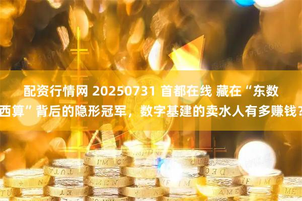 配资行情网 20250731 首都在线 藏在“东数西算”背后的隐形冠军，数字基建的卖水人有多赚钱？